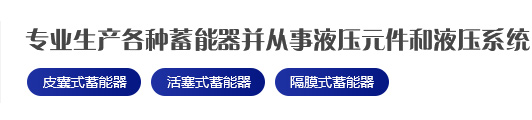 專業(yè)生產(chǎn)各種蓄能器并從事液壓元件和液壓系統(tǒng)